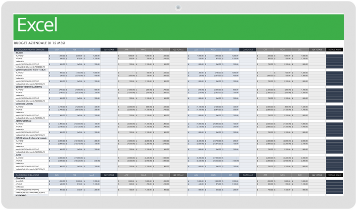 Budget aziendale di 12 mesi